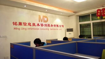 资阳铭鼎信息技术咨询服务 助力企业发展的高效专业支持